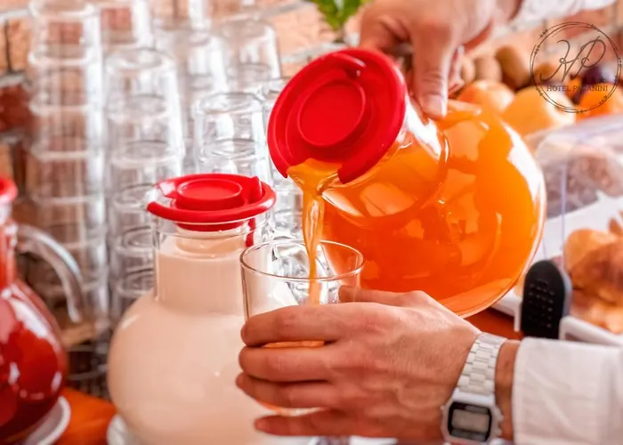 Hotel Paganini Florença