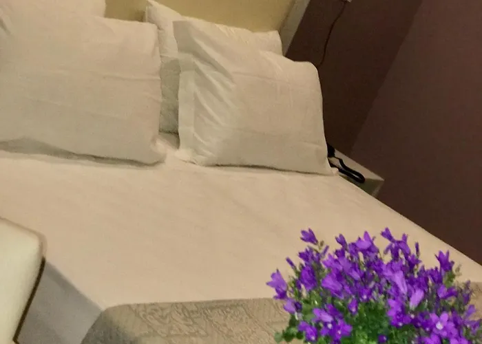 帕格尼尼酒店 佛罗伦萨